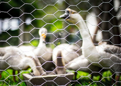 Distribuidor de Tela Hexagonal
