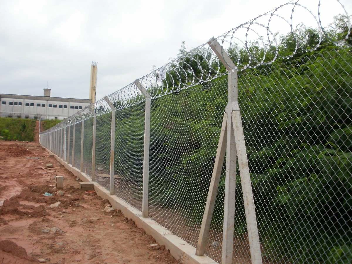 Distribuidor de Concertina