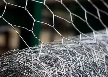 Fabricante de Tela Hexagonal Galvanizado