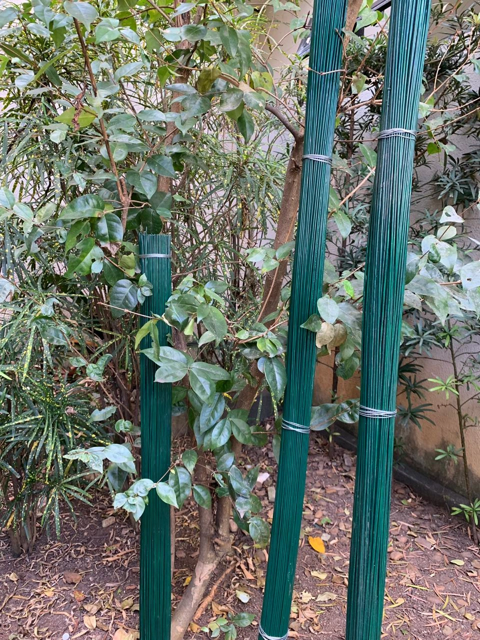 Produto Estacas para Orquídeas