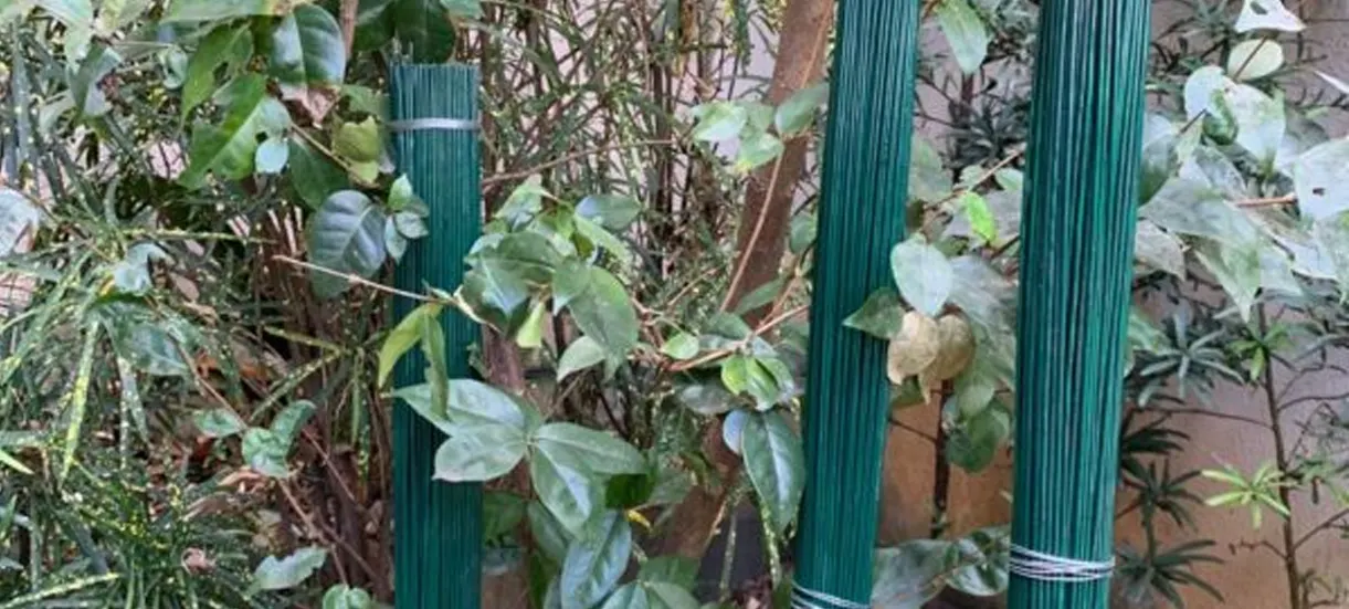 Produto Estaca para Plantas