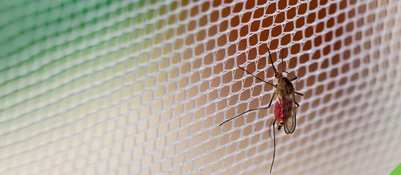 Banner do produto Distribuidor de Telas de Nylon