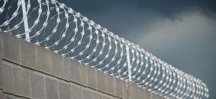 Fabricante de Concertina Galvanizada